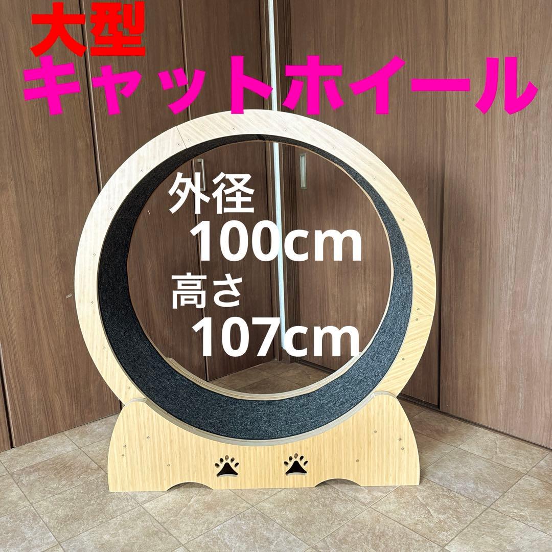 ☆綺麗☆ キャットホイール　猫　木製　静音