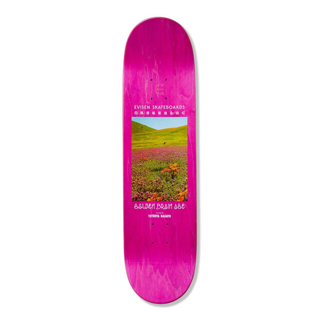 新品 evisen skateboards brain age 8.0 デッキ