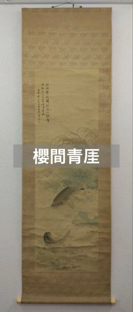 櫻間青厓【遊鯉之図】絹本　掛軸（杉原夷山／清水退軒）