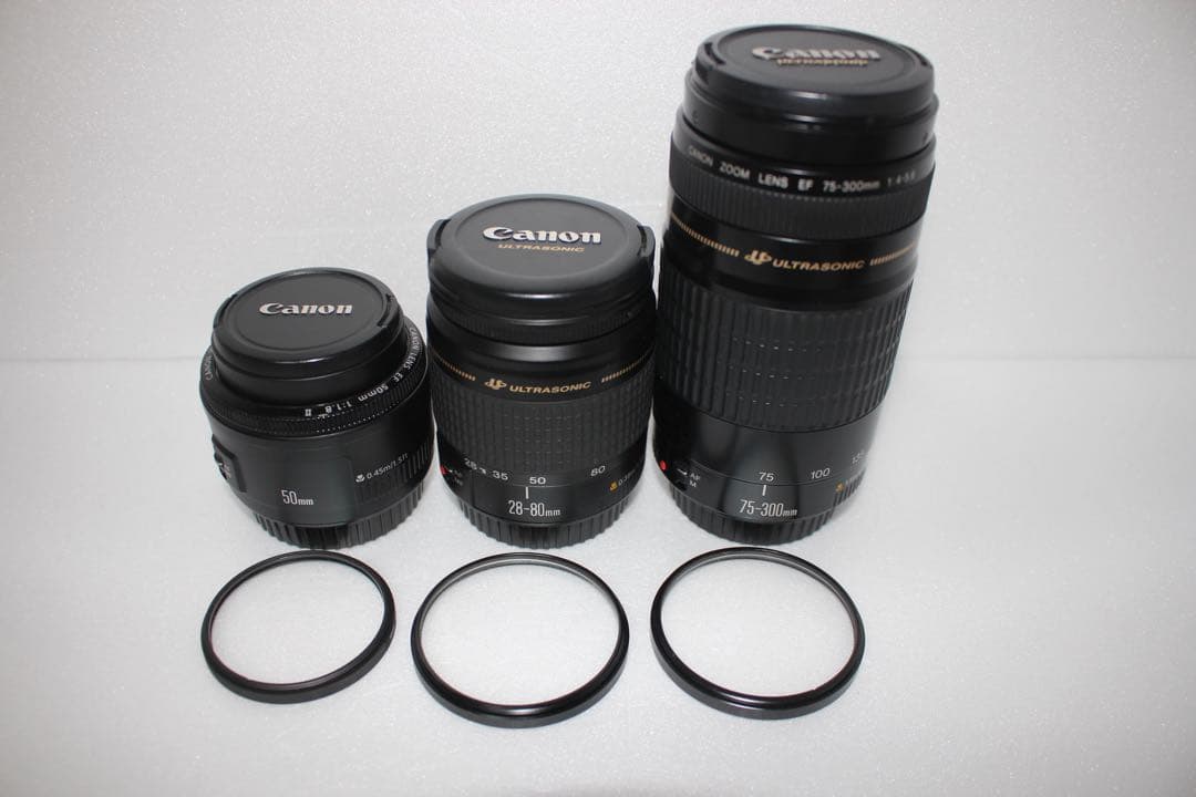 デジタル一眼レフカメラCanon EOS 80D/標準&望遠&単焦点レンズセット