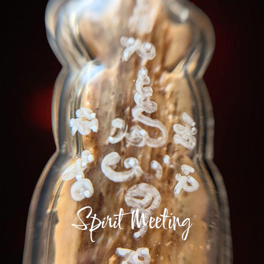 ネクロマンシー呪術と仙神の神技　プランガンチンアータン　アジャンタナキット師