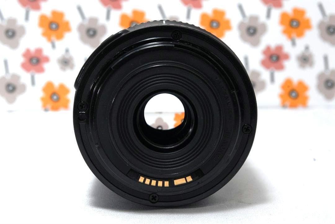❤Canon EF-S 55-250mm IS STM❤極美品❤大人気望遠レンズ