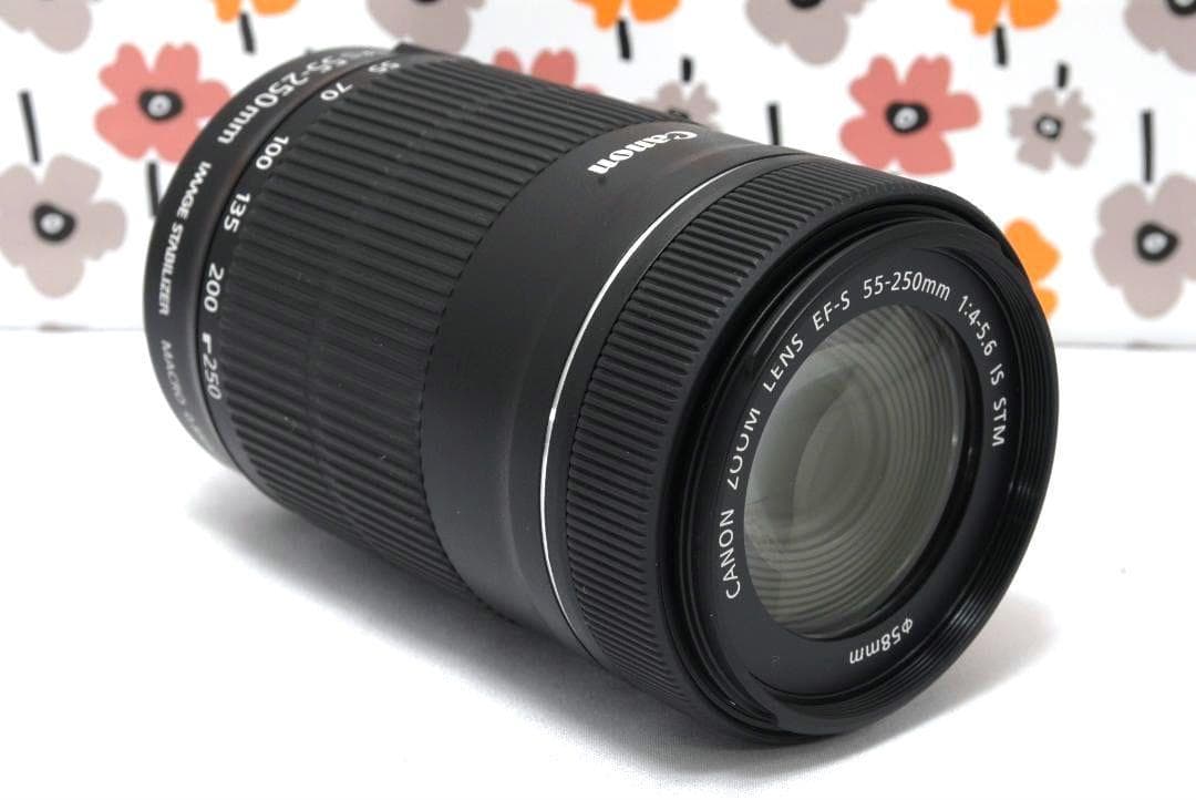 ❤Canon EF-S 55-250mm IS STM❤極美品❤大人気望遠レンズ