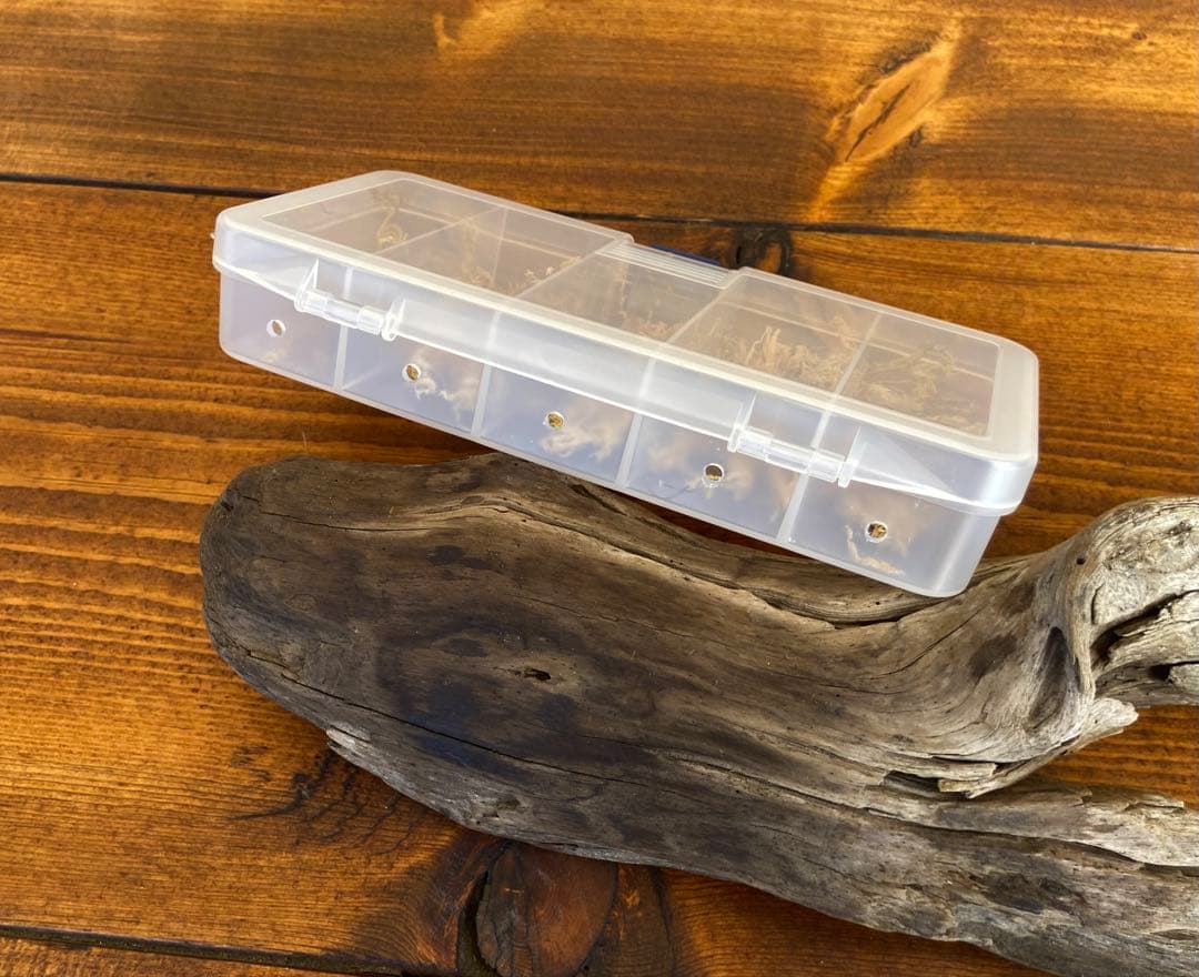 クワガタ採集セット　オリジナル掻き出し棒　デジタルノギス　採集ケース　アーミー