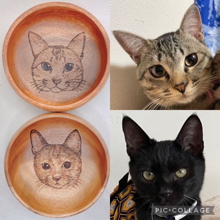 確認ページ♡猫ちゃん4匹♡フェレット10匹