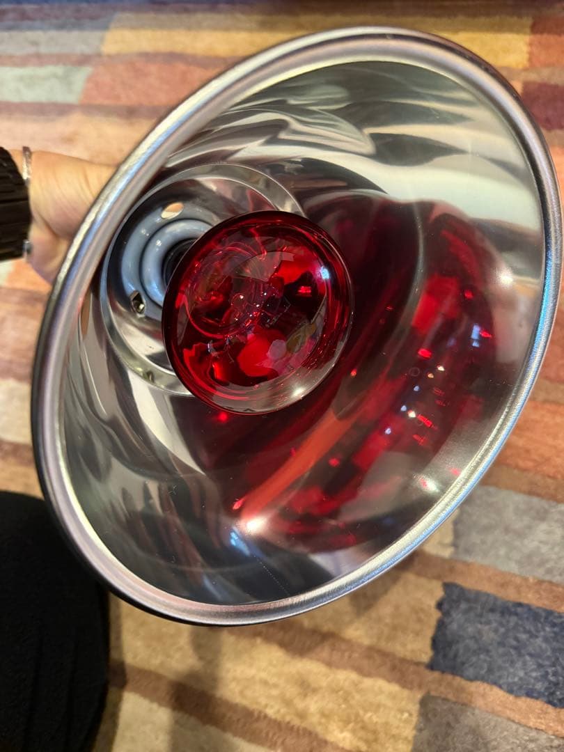 エキゾテラ　6030 色々セット