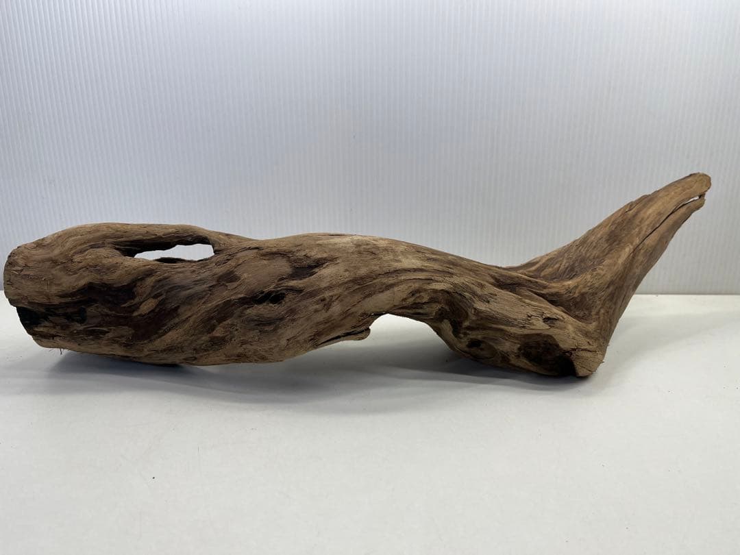 k50アク抜き済み流木 爬虫類シェルター レイアウト用 登り木 インテリア