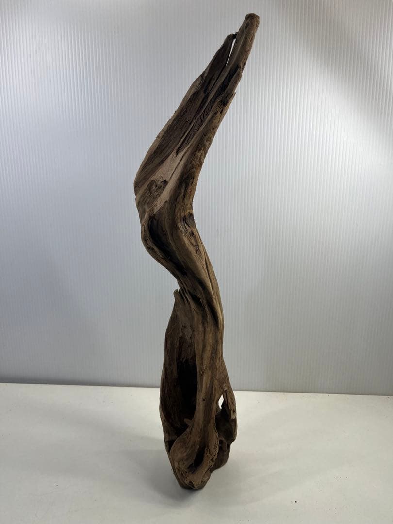 k50アク抜き済み流木 爬虫類シェルター レイアウト用 登り木 インテリア