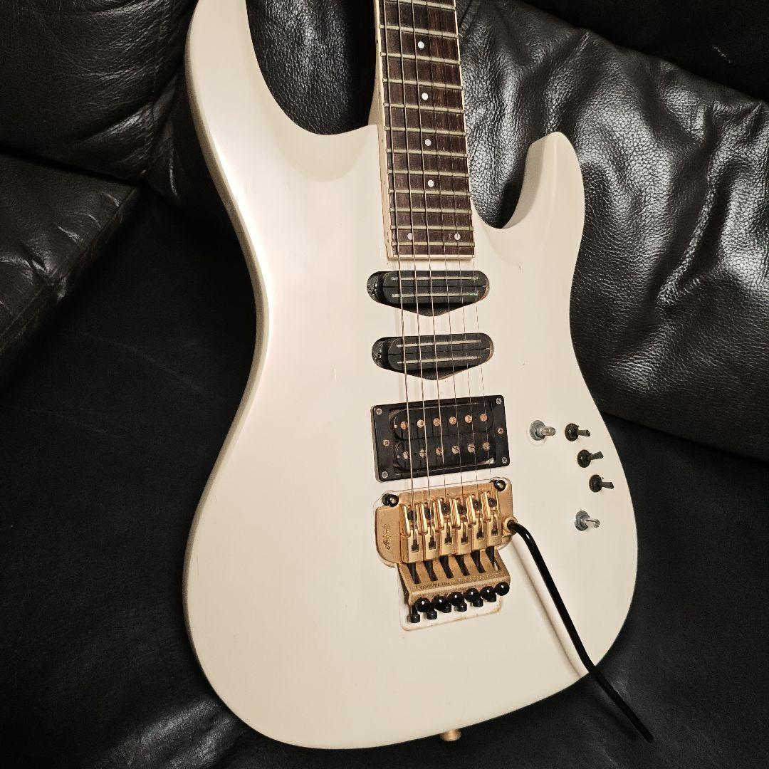 N*T様 AriaProII MAGNA series MA-650