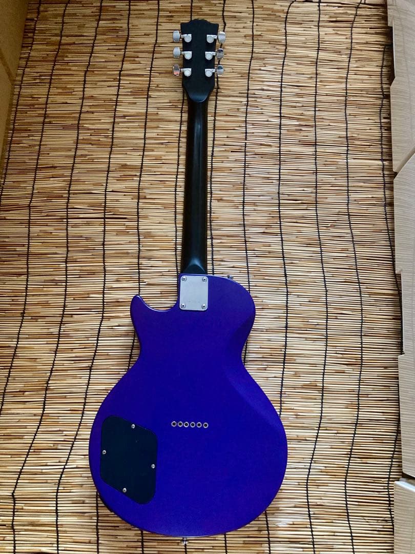 ☆値下☆美品珍品　モディファイして新機能満載　GrassRoots SSS LP