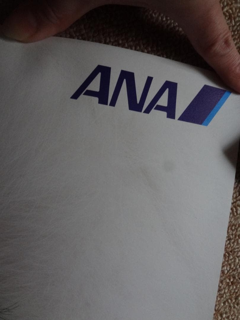 妻夫木聡 ANAスカイホリデー　入手困難非売品　B1サイズポスター