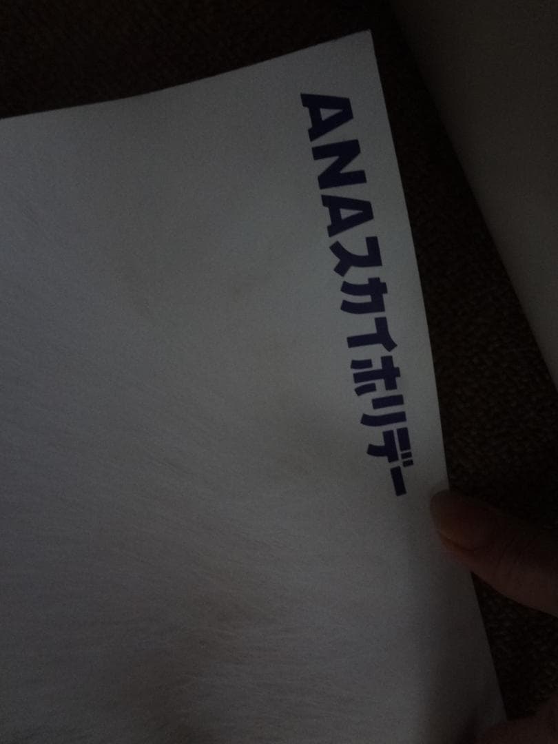 妻夫木聡 ANAスカイホリデー　入手困難非売品　B1サイズポスター