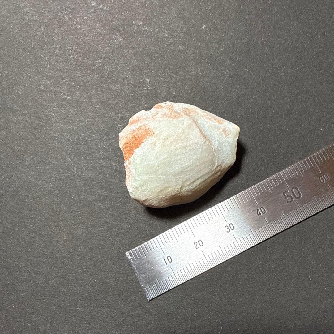 シェルオパール 貝オパール オパール化貝化石 オパライズドシェル