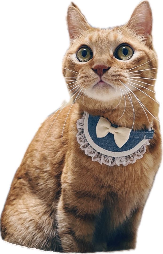 ミニ丸スタイ(花柄デニム) Ｎｏ．81-580