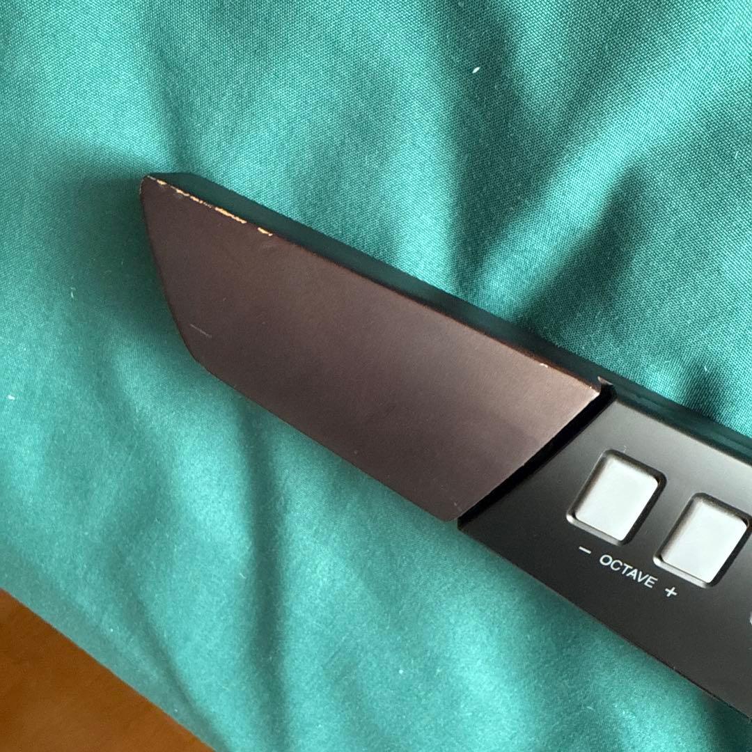 KORG RK-100S 2 キーターモデル