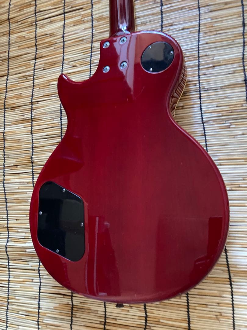 ☆オータムセール☆ 2V1Tに大変身した機能満載のBusker's LP