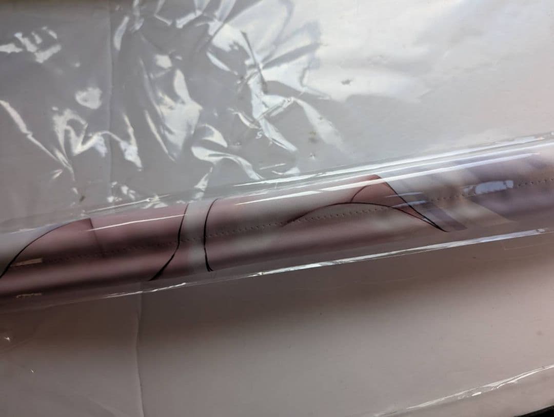 C107 さぼてん農場さぼてんむし会場限定ダブルスエード B2タペストリー 2種