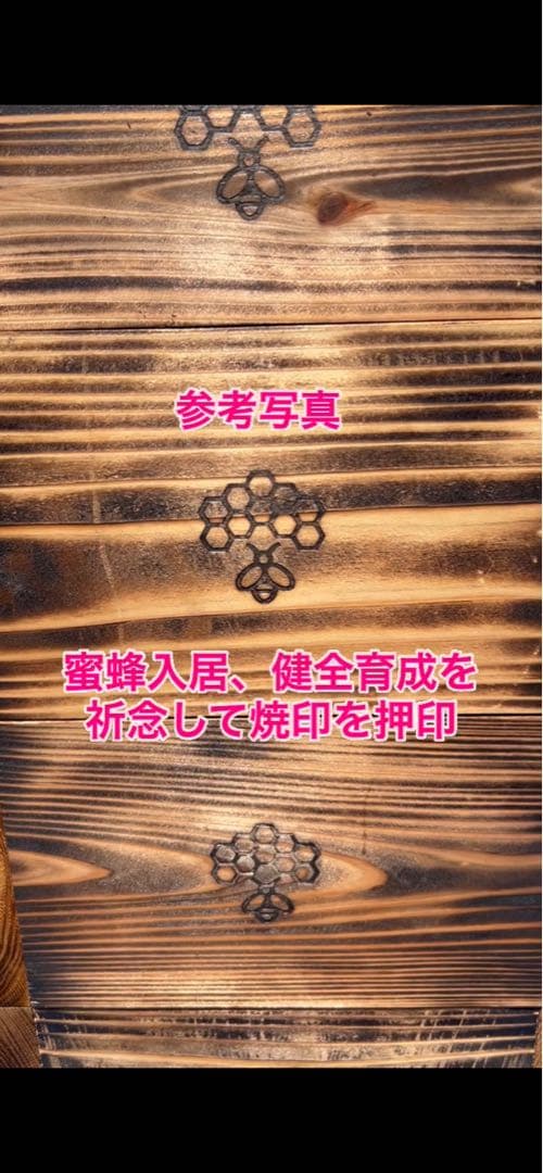 ニホンミツバチ巣箱　待箱　気候変動対応型　板厚4.5cm