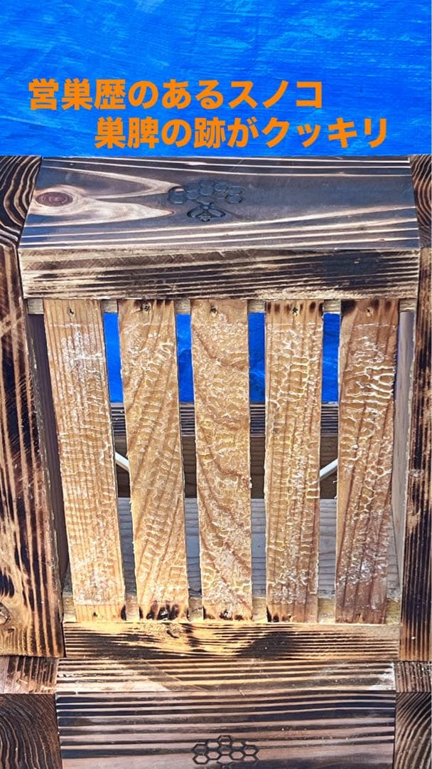 ニホンミツバチ巣箱　待箱　気候変動対応型　板厚4.5cm