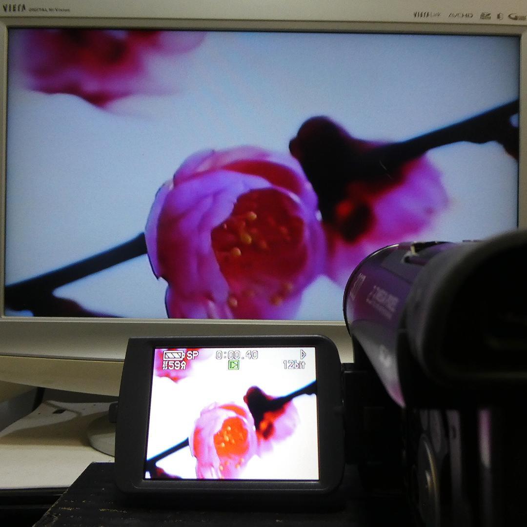 美品・動作良好 パナソニックNV-GS200 MiniDVビデオ　DVD化に最適