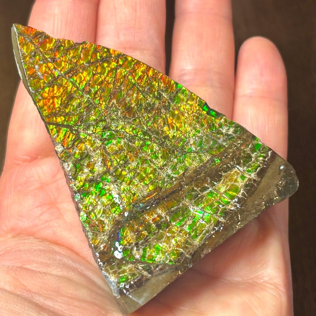 カナダ産 アンモライトドラゴンスキン 樹脂スタビライズ加工 天然宝石 化石 標本