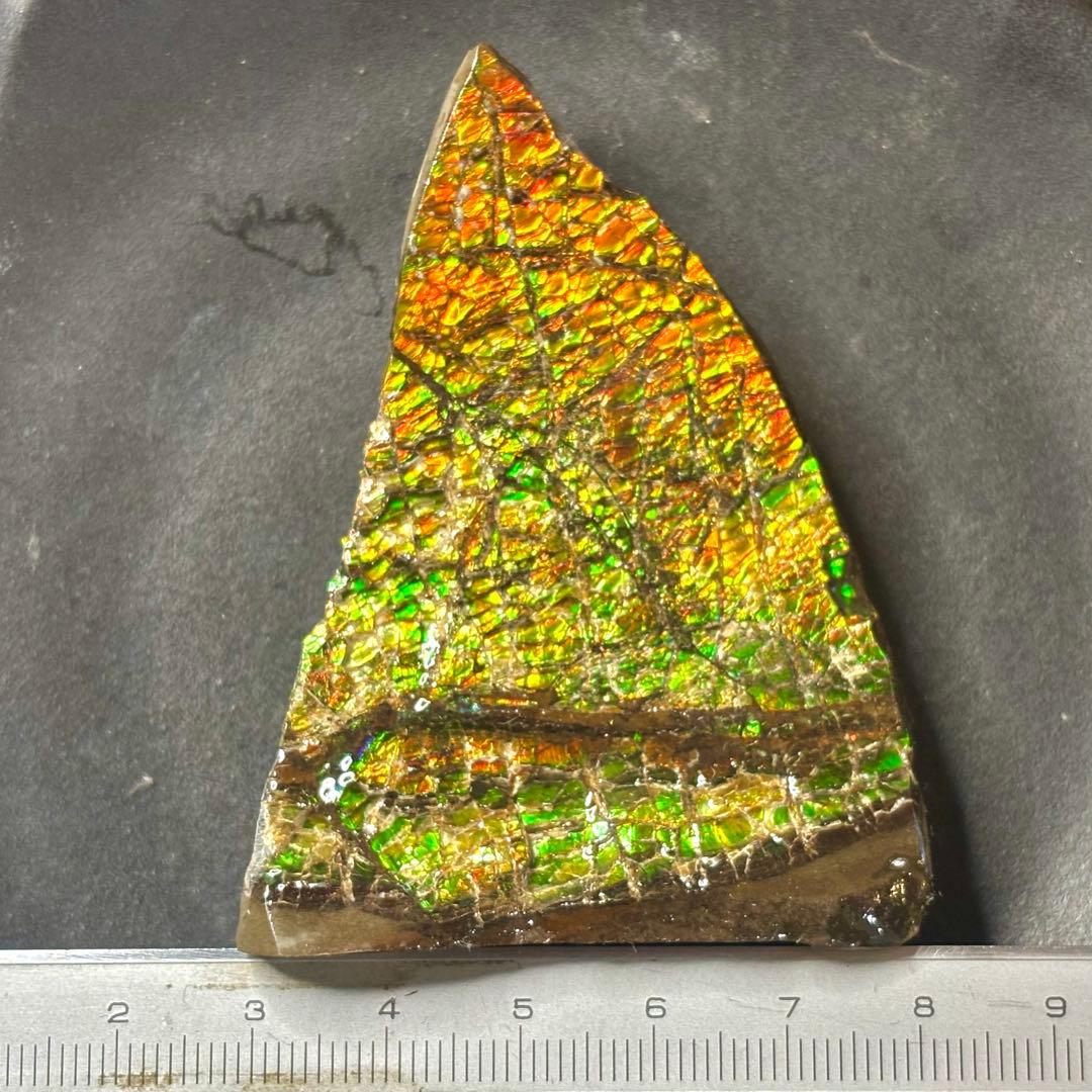 カナダ産 アンモライトドラゴンスキン 樹脂スタビライズ加工 天然宝石 化石 標本