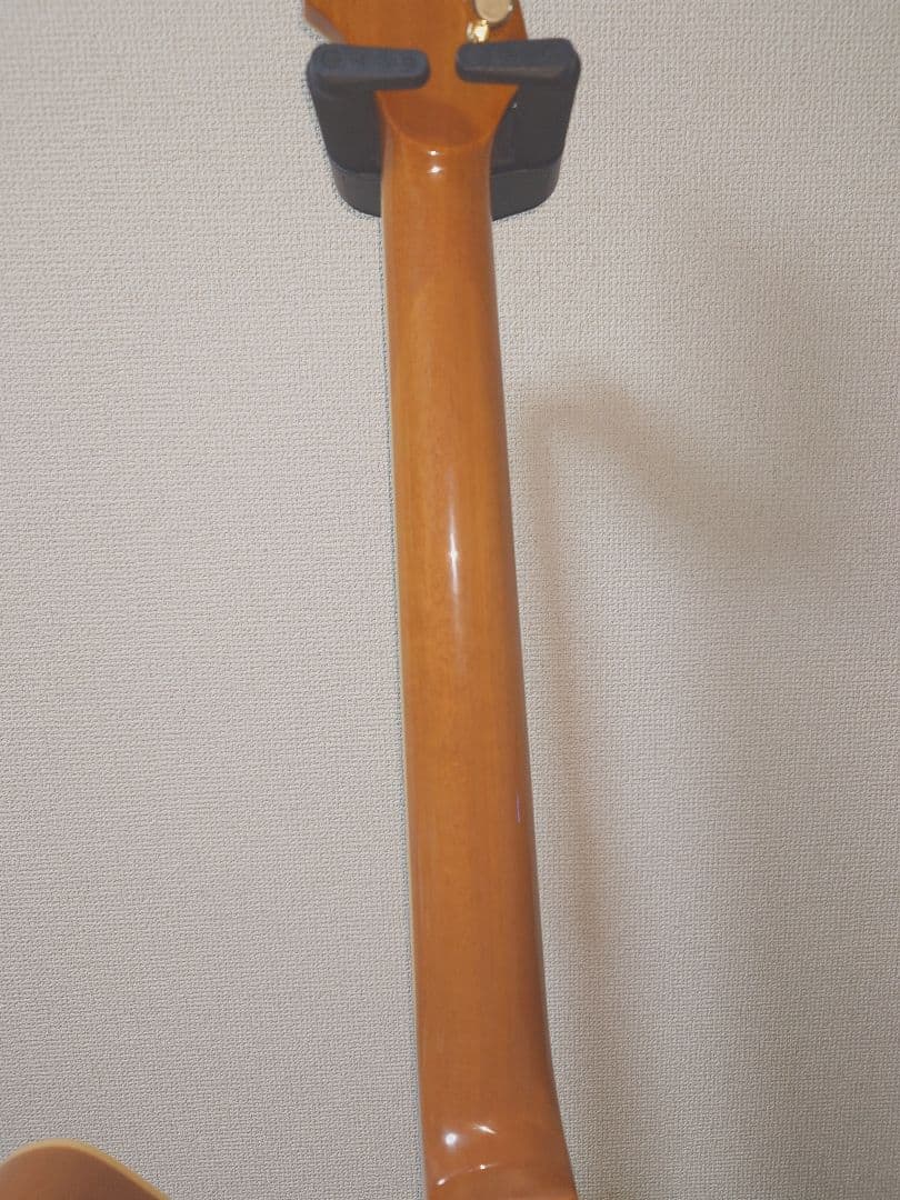 【haruka】Ibanez Destroyer Ⅱ 2015