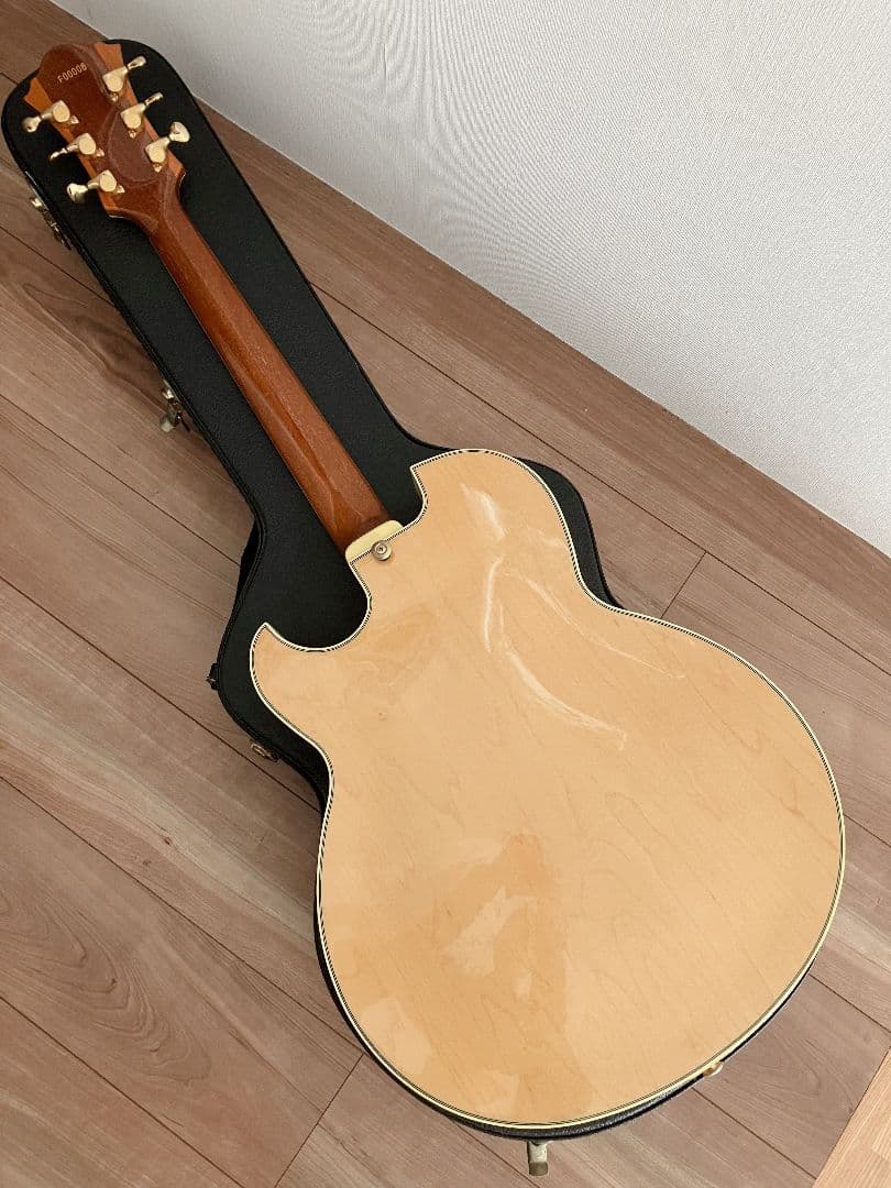 Ibanez PM120 Pat Metheny Signature フルアコ