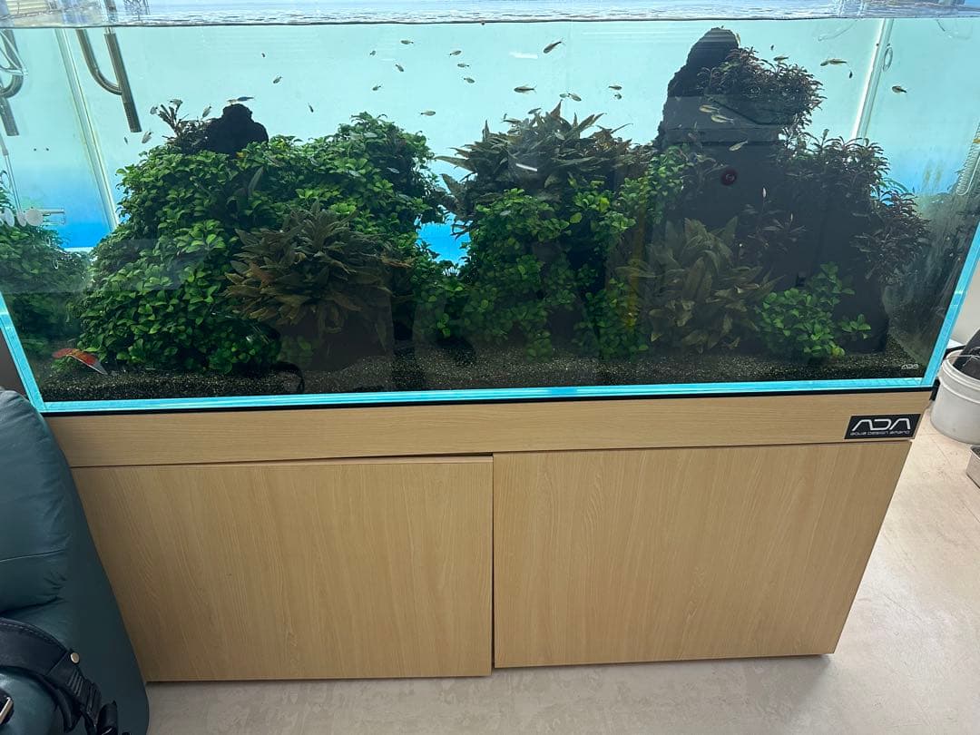 ADA ライトスクリーン 120 W120cm x H50cm