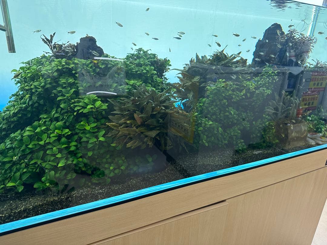 ADA ライトスクリーン 120 W120cm x H50cm