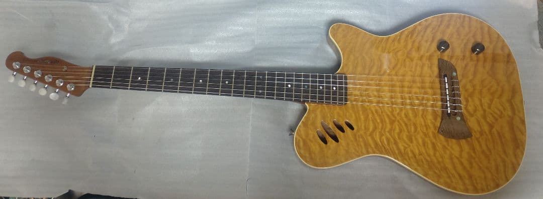 ギター History HEG-120 Custom