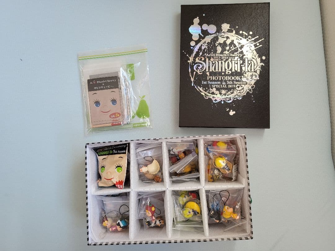 Acid Black Cherry キューピー インキュバス君 フォトブック