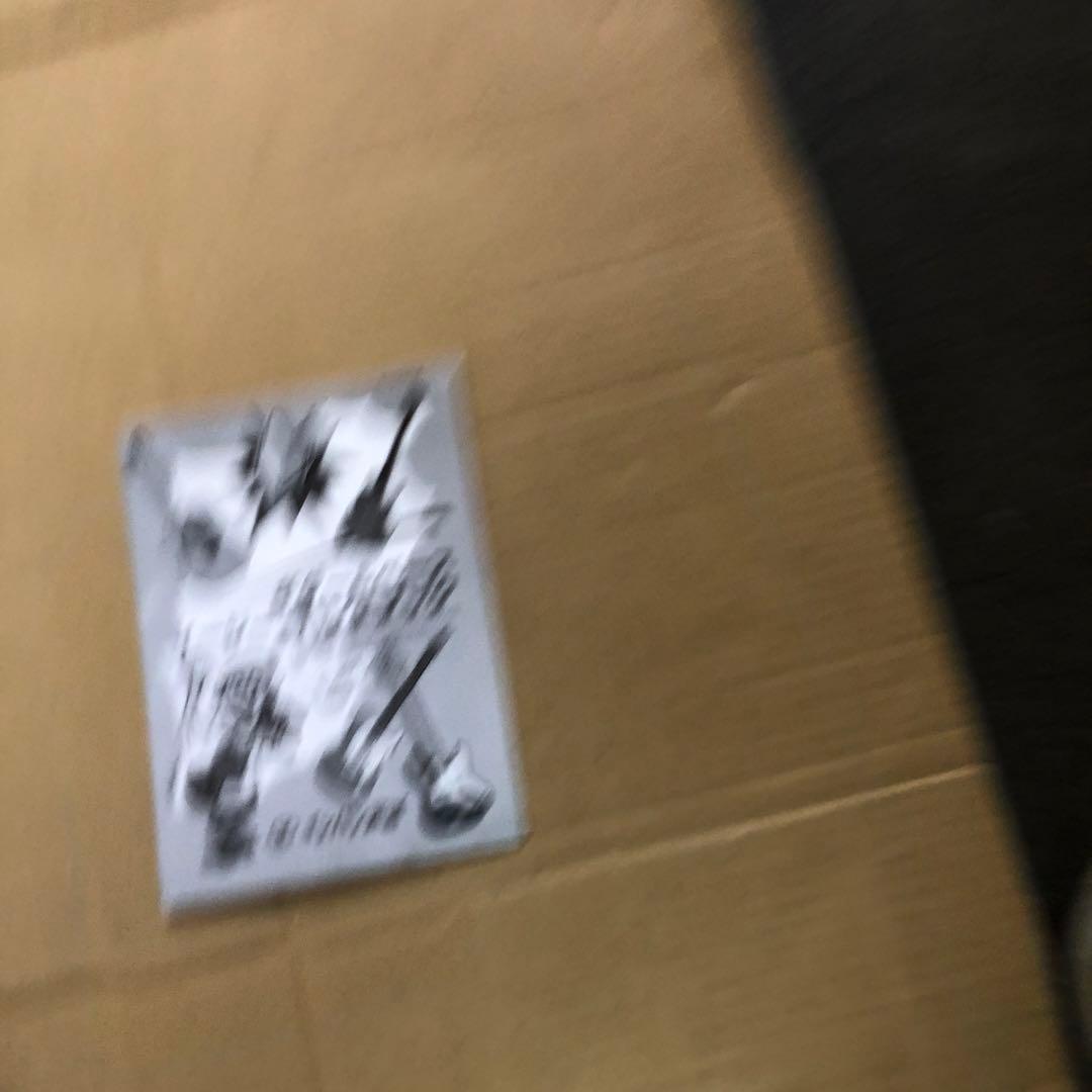 mavis  エレキギター   ソフトケース付き