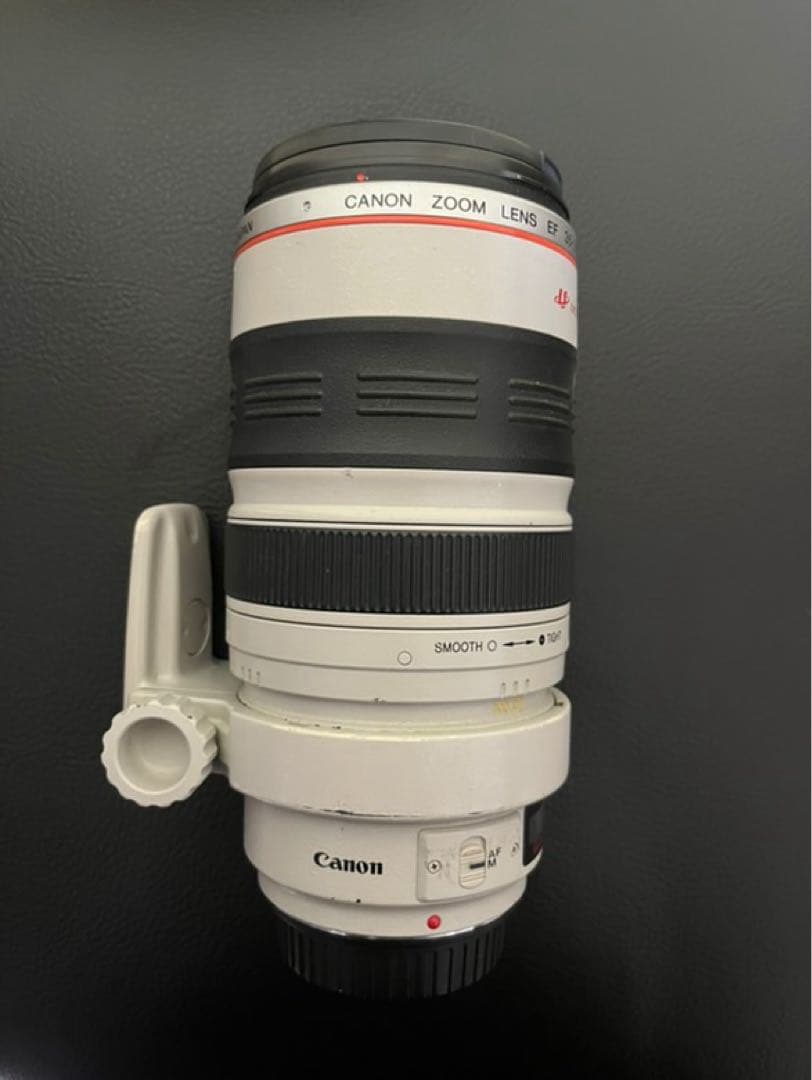レンズ(ズーム) Canon EF 35-350mm f/3.5-5.6L USM