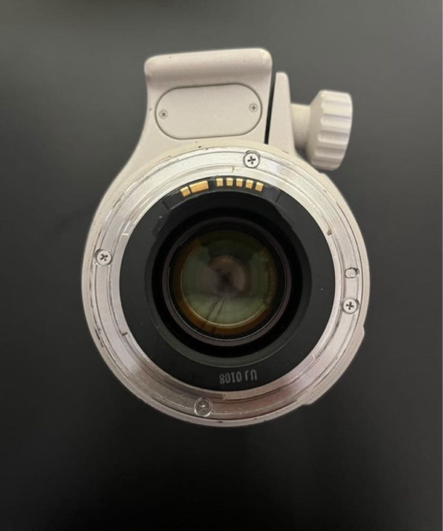 レンズ(ズーム) Canon EF 35-350mm f/3.5-5.6L USM