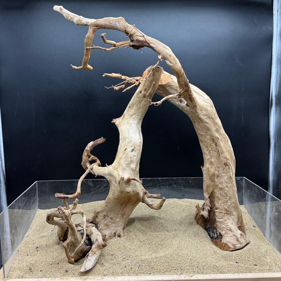 MDW-7162 特大ブランチウッド2本セット　流木　枝流木　アクアリウム