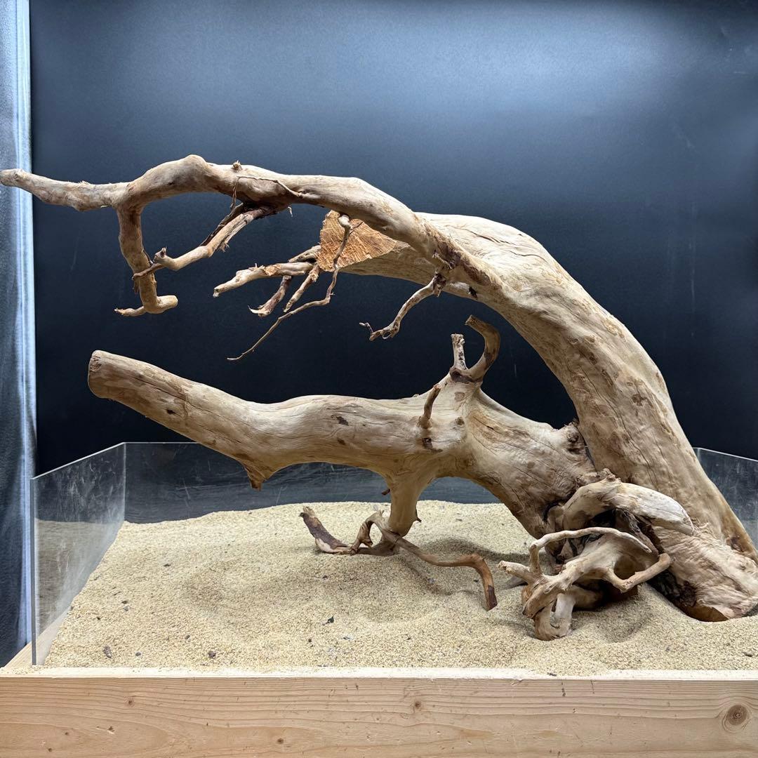 MDW-7162 特大ブランチウッド2本セット　流木　枝流木　アクアリウム