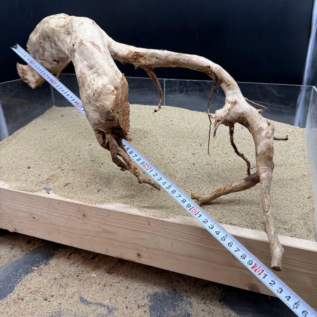 MDW-7162 特大ブランチウッド2本セット　流木　枝流木　アクアリウム