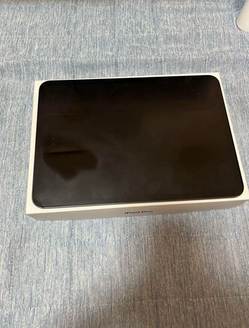A*i様 iPad Pro 11 第5世代 M4 256GB 即日発送⭕️