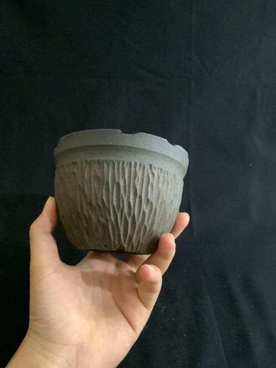 Kikko  吉光釜 激レア鉢 アガベ チタノタ グラキリス パキポディウム