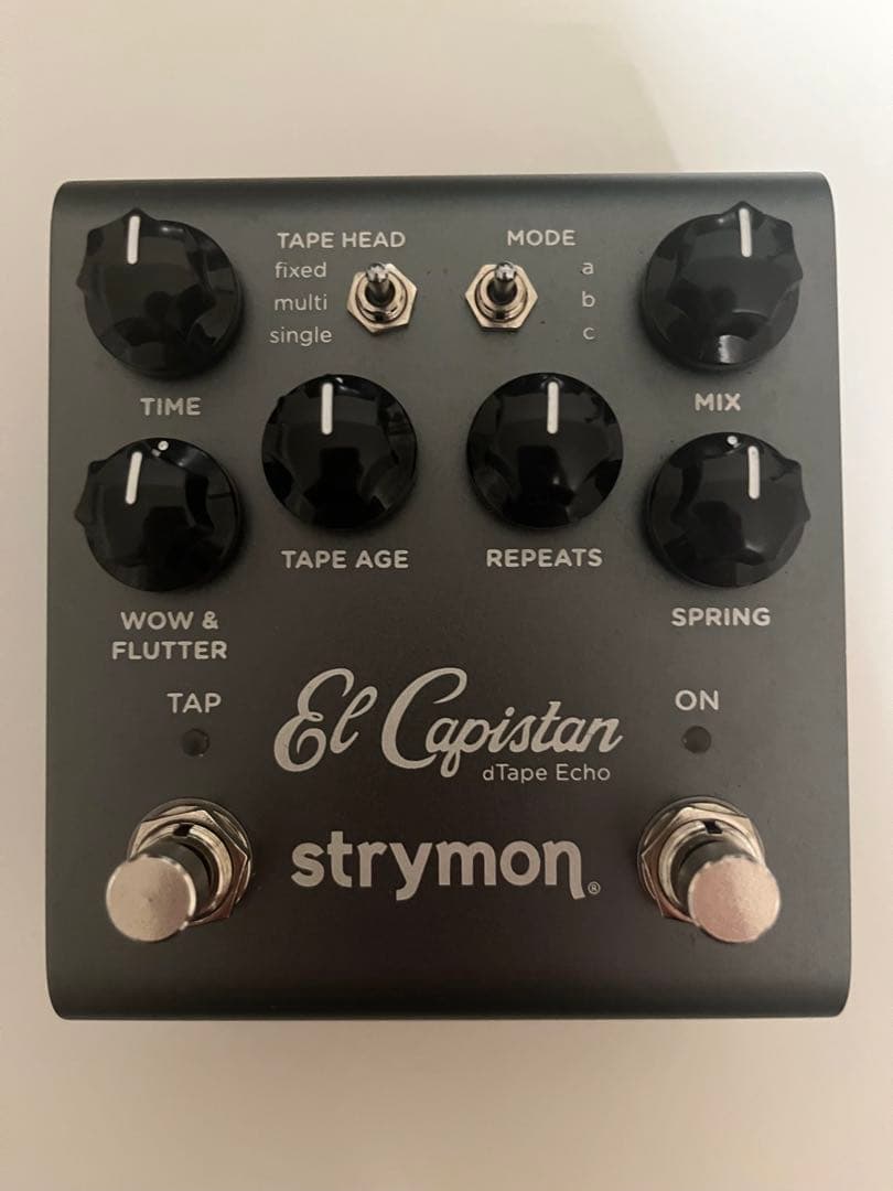 りページ　Strymon El Capistan V2
