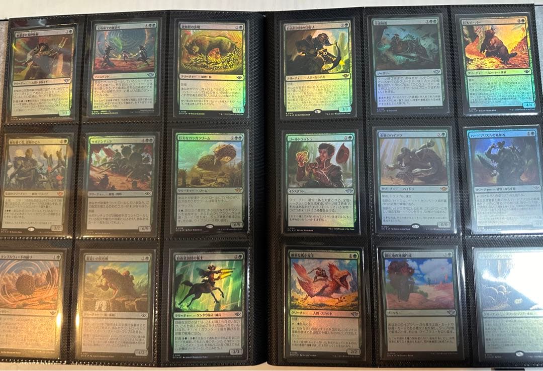 【MTG】サンダージャンクションの無法者 通常版FOILコンプ、ファイル付き