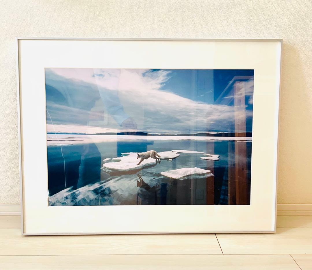 白いオオカミ　ジム・ブランデンバーグ