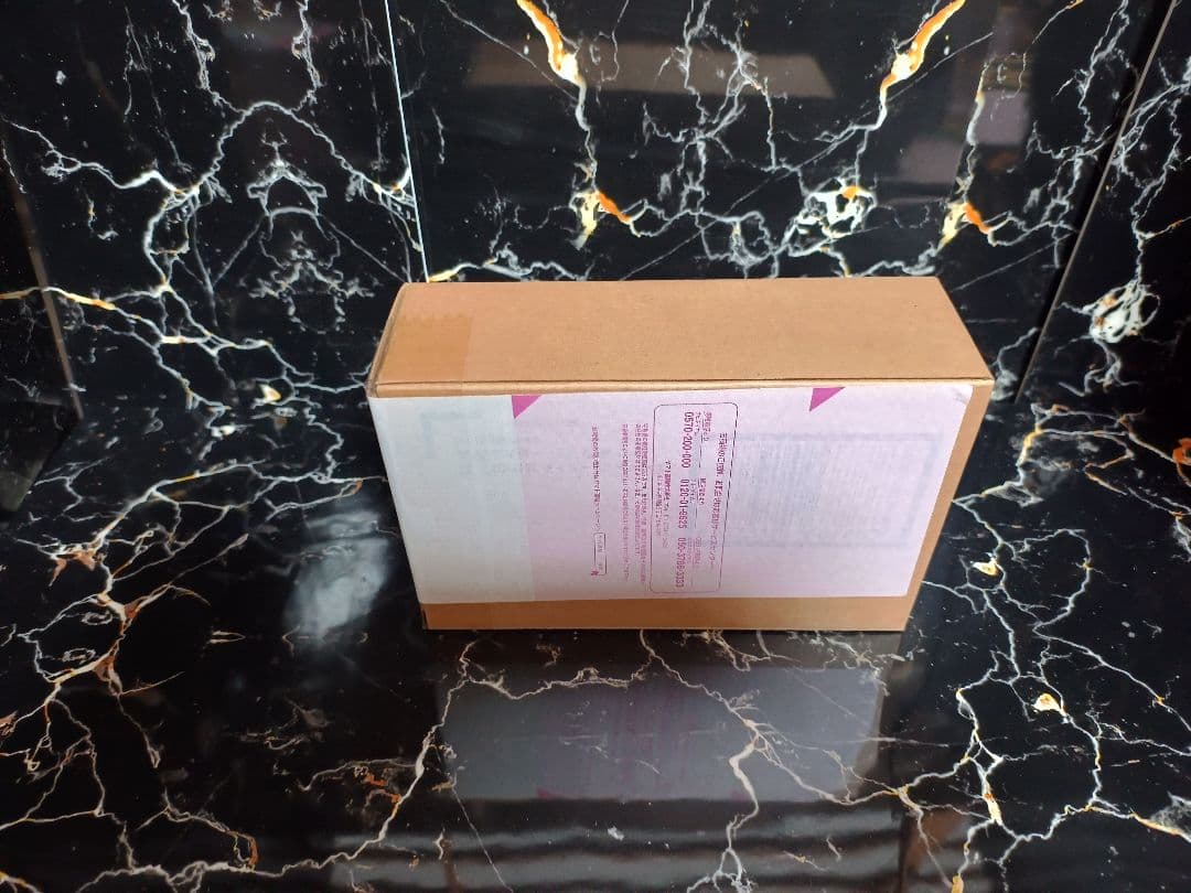 S.H.Figuarts（真骨彫製法） 仮面ライダー1号（桜島Ver.）