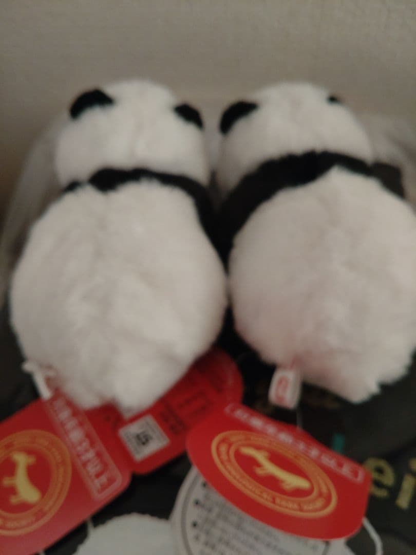 上野動物園　パンダぬいぐるみとＴシャツ