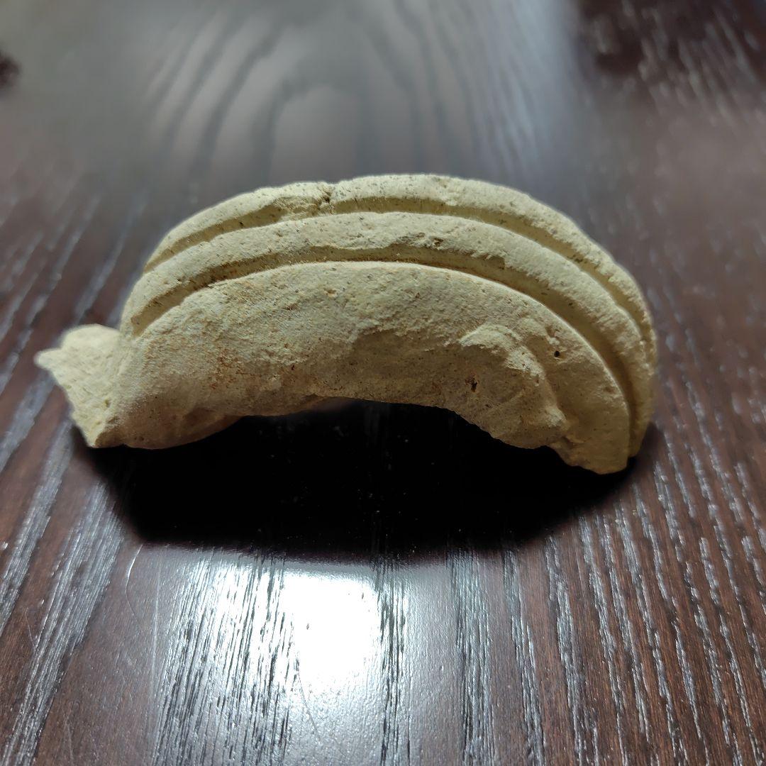 曲線的な形状の古瓦の化石