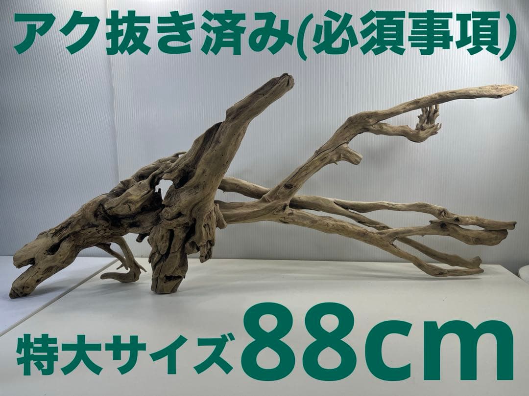 V24特大流木 アク抜き済み流木 爬虫類シェルター 登り木 インテリア 生け花