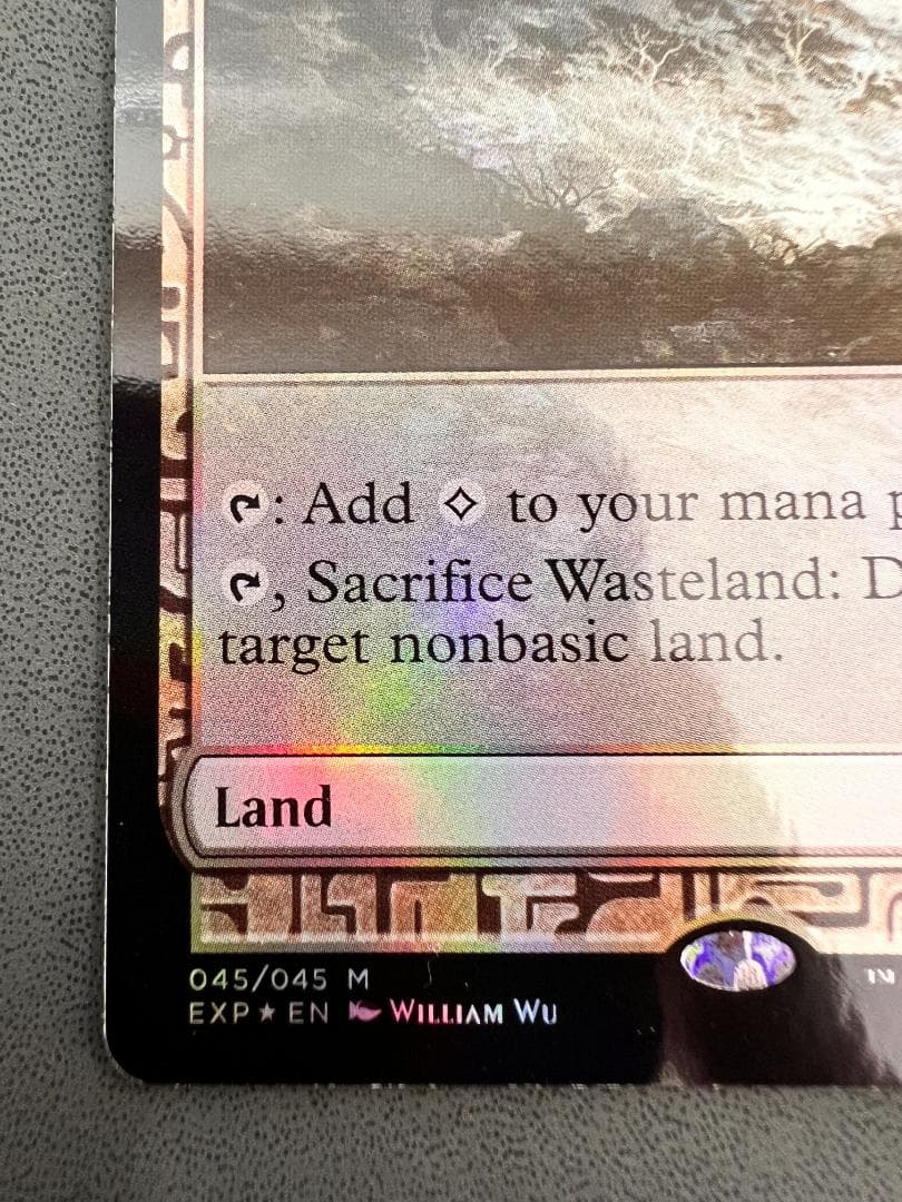 foil「EXP」不毛の大地/Wasteland　英語１枚