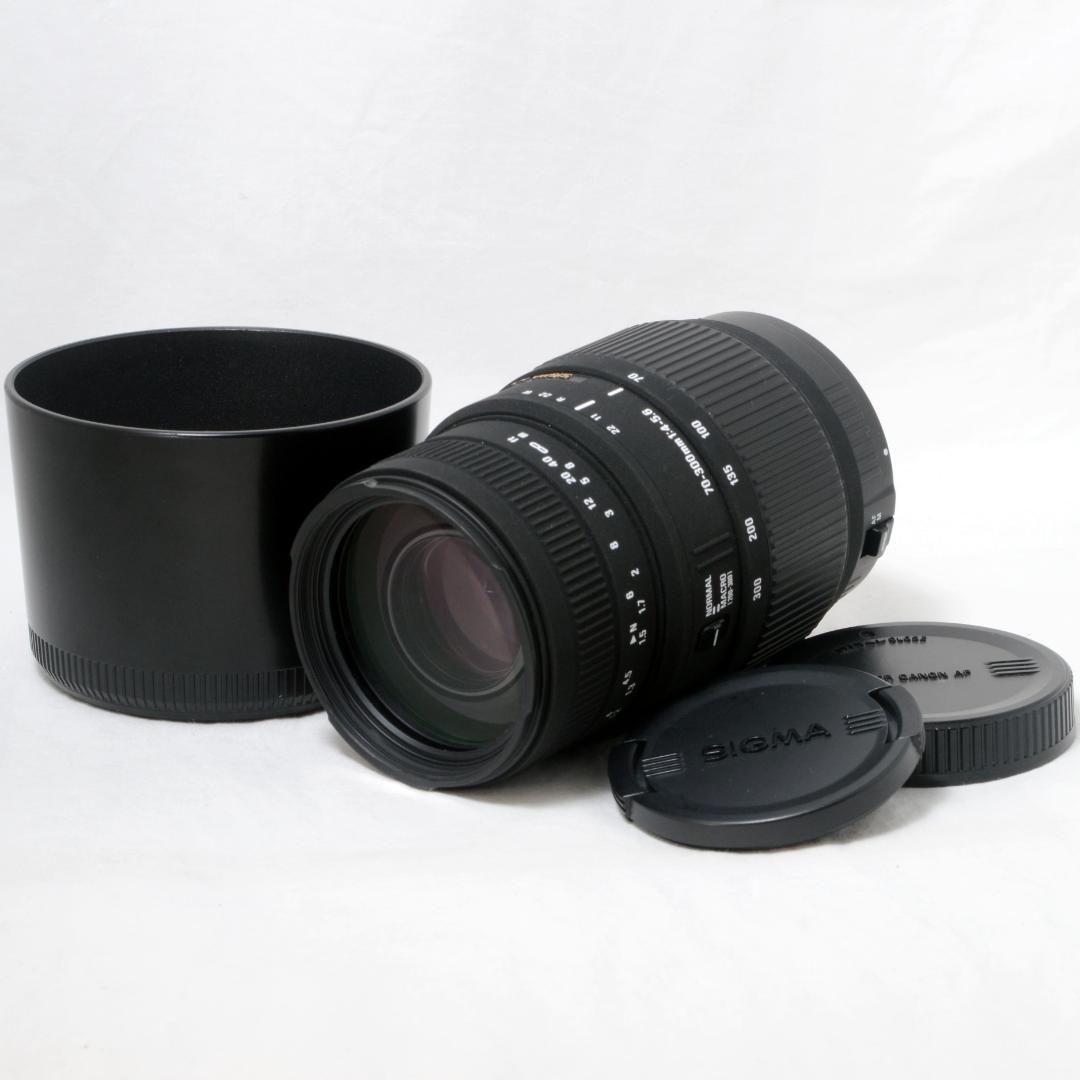 ⭐️極上美品⭐️SIGMA 70-300mm F4-5.6 DG キヤノン用