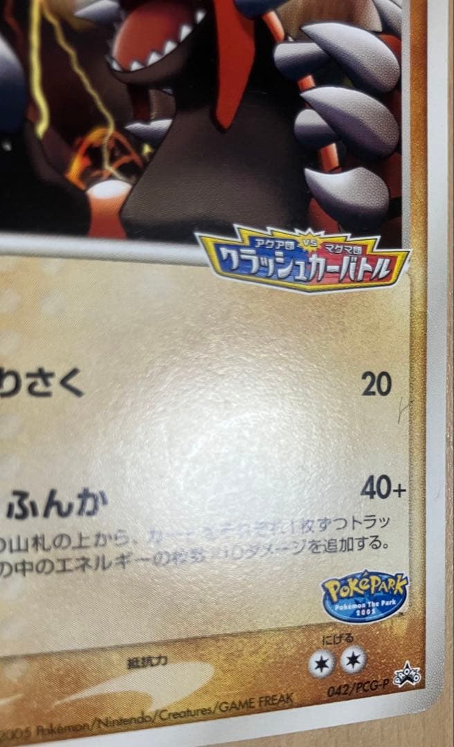 ポケパーク2005 限定ポケモンカード23枚セットプレミアムファイルブルーシート